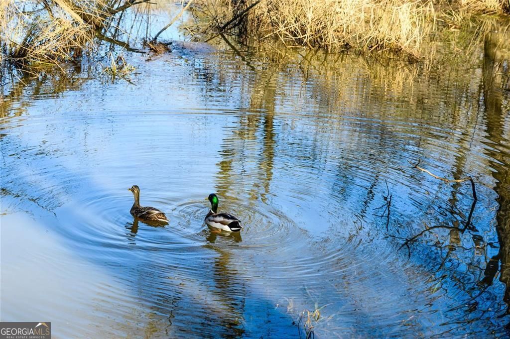 CHARTWELL - Residential