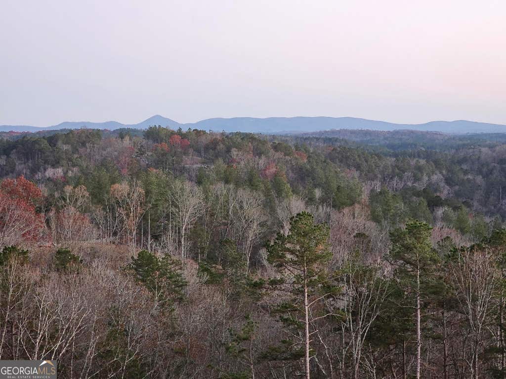 Photo of 289 Anglers Ridge Road, Talking Rock, GA 30175 (MLS # 10823020)