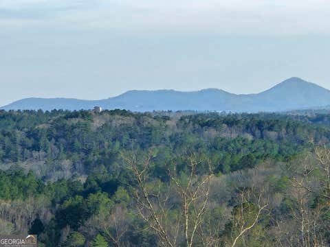 Photo of 289 Anglers Ridge Road, Talking Rock, GA 30175 (MLS # 10823020)