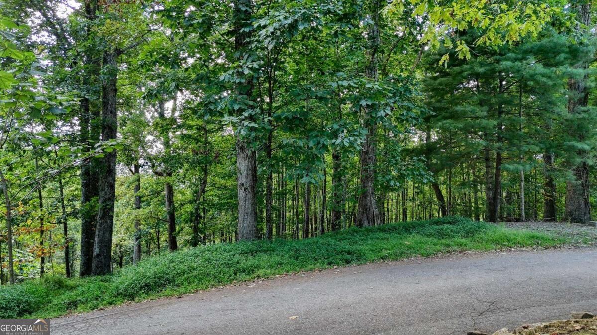 LOT 29 Harris Ridge RD