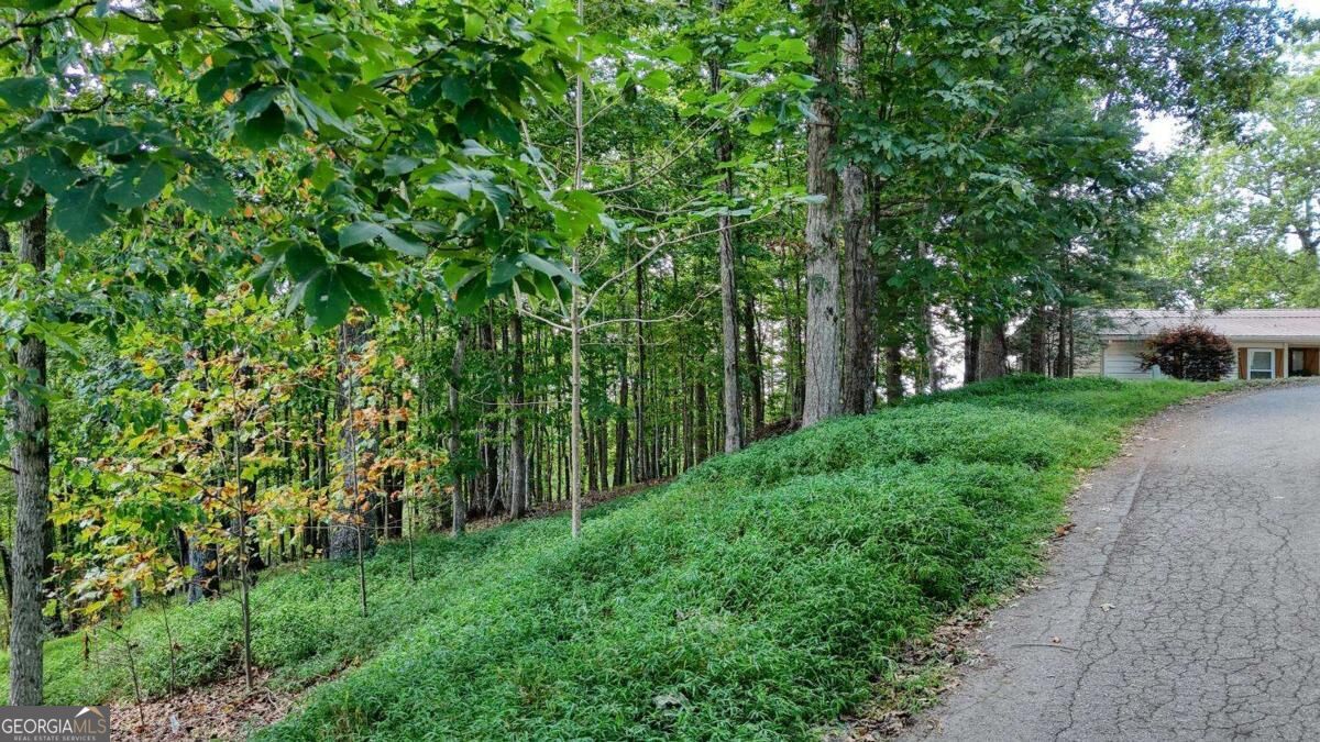 LOT 29 Harris Ridge RD