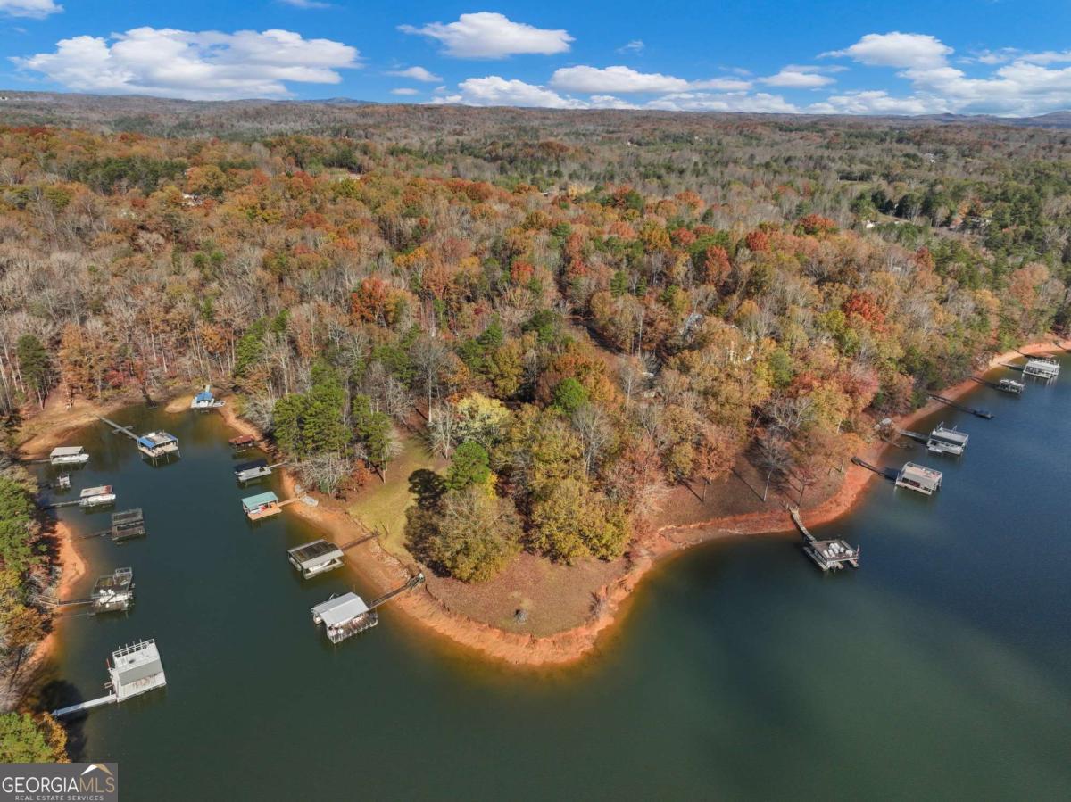 Lakeshore - Residential Lease