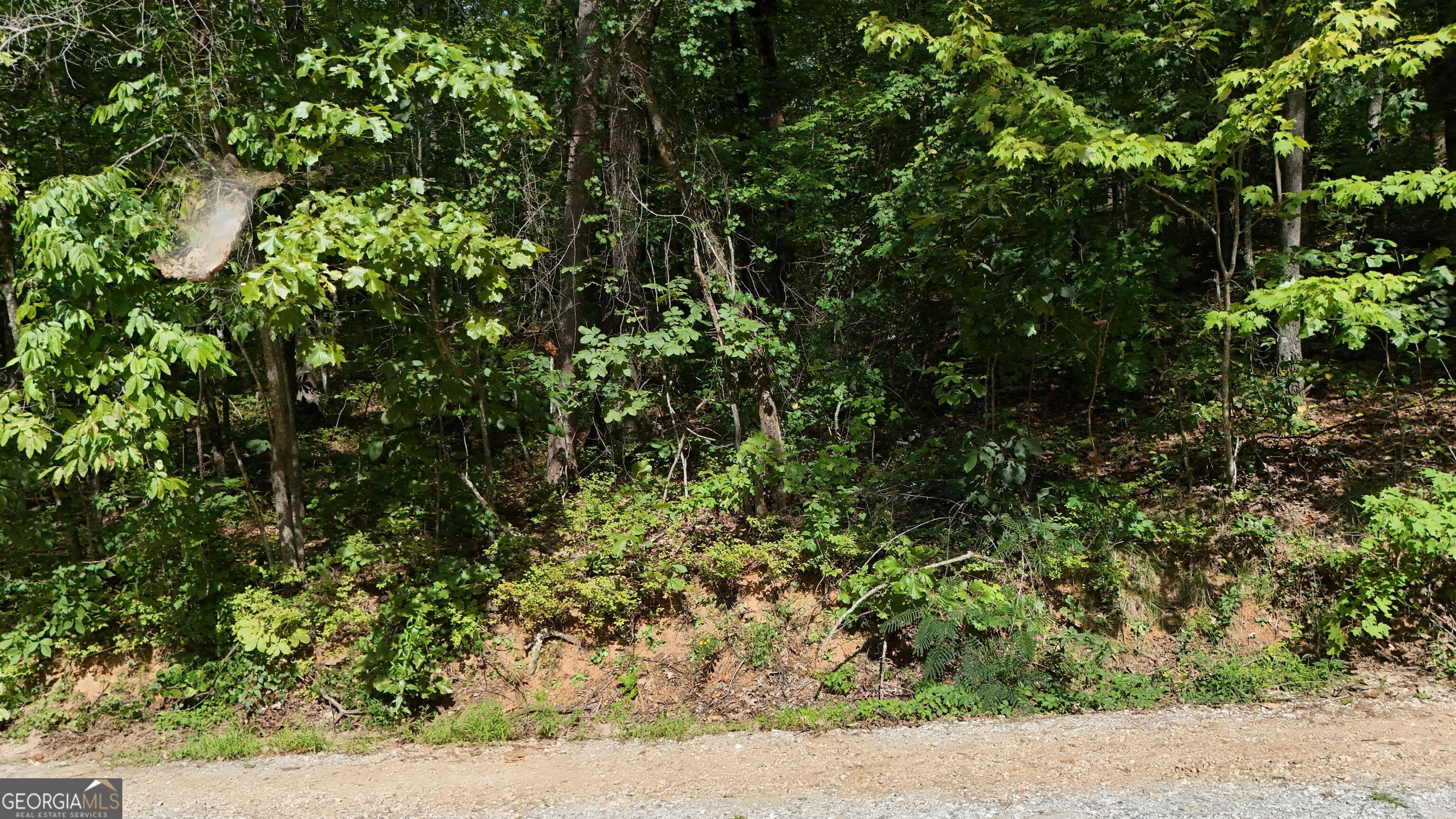 LOT 184 Hillside DR