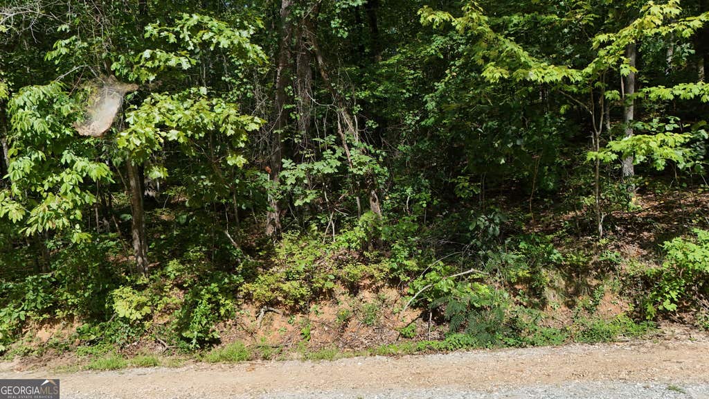 Photo of 184 Hillside Drive, Clarkesville, GA 30523 (MLS # 10830127)