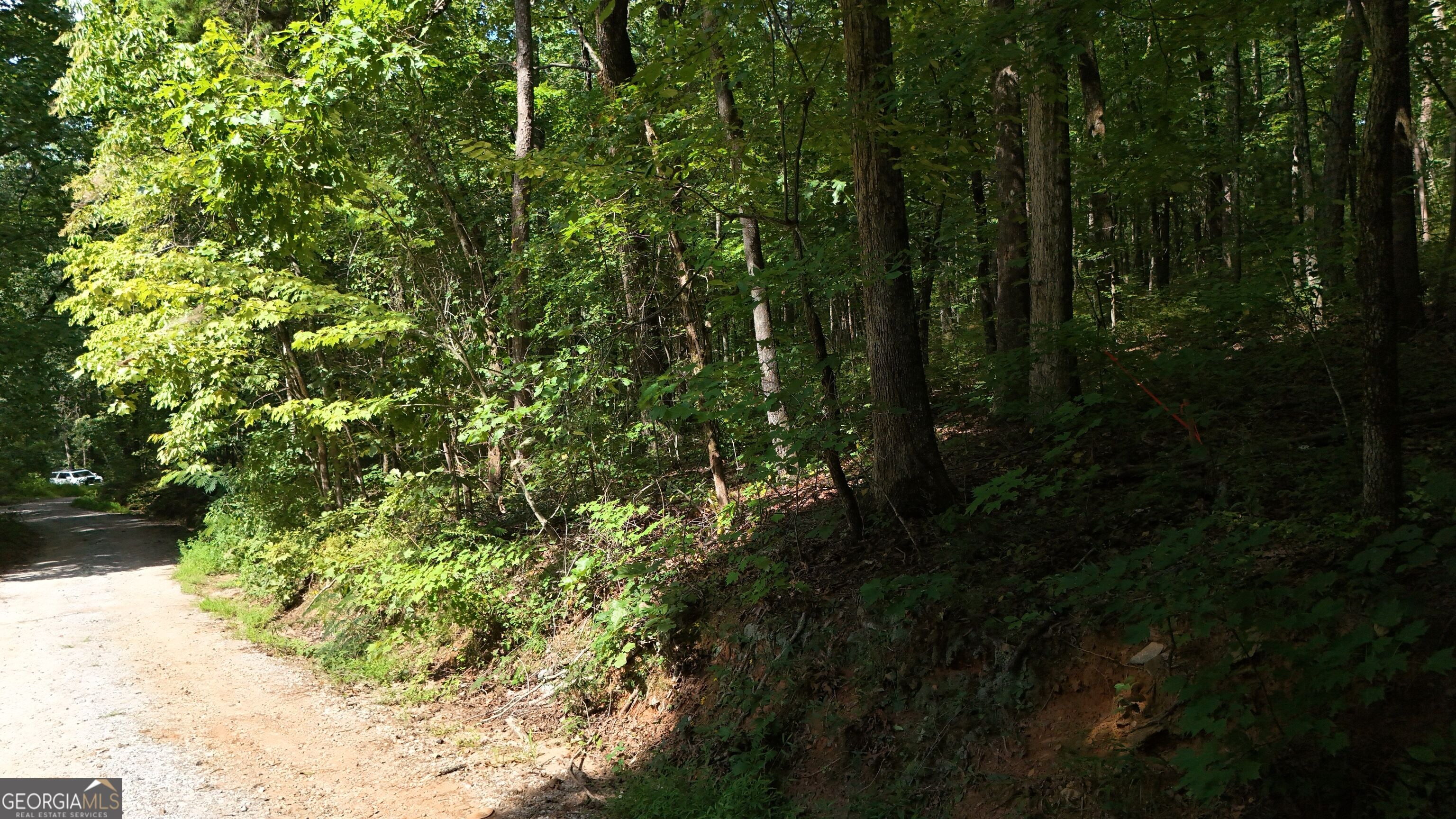 LOT 184 Hillside DR
