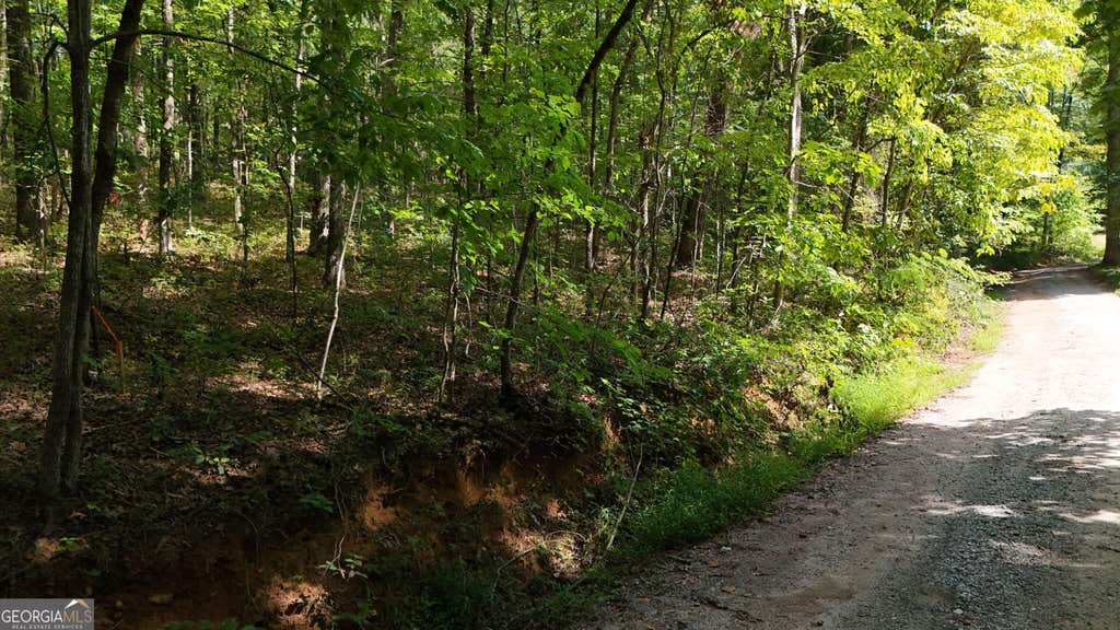 Photo of 184 Hillside Drive, Clarkesville, GA 30523 (MLS # 10830127)