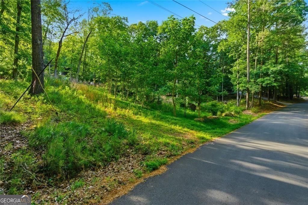 Photo of 33 Yellow Hammer Drive SE, White, GA 30184 (MLS # 10767952)