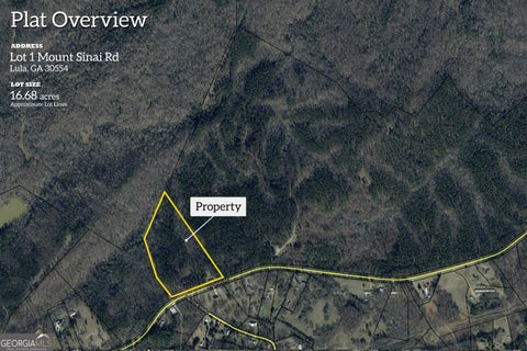 Photo of 0 Mt. Sinai Road #LOT 1, Lula, GA 30554 (MLS # 10790828)