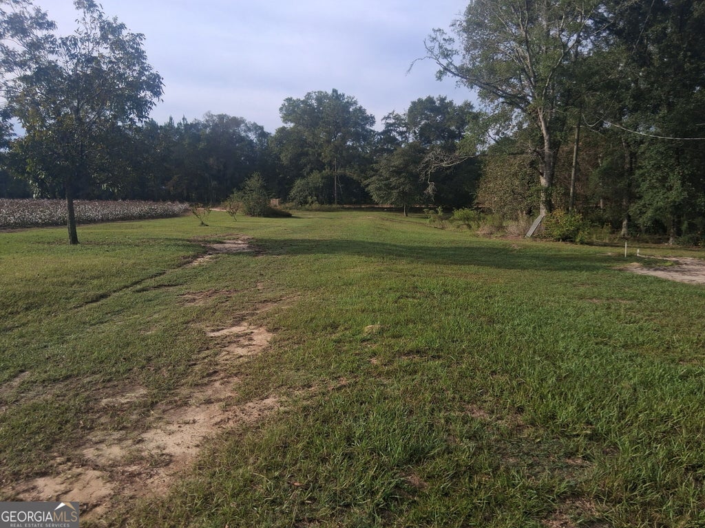 Photo of 1443 Old Bethel Road, Chester, GA 31012 (MLS # 10869795)