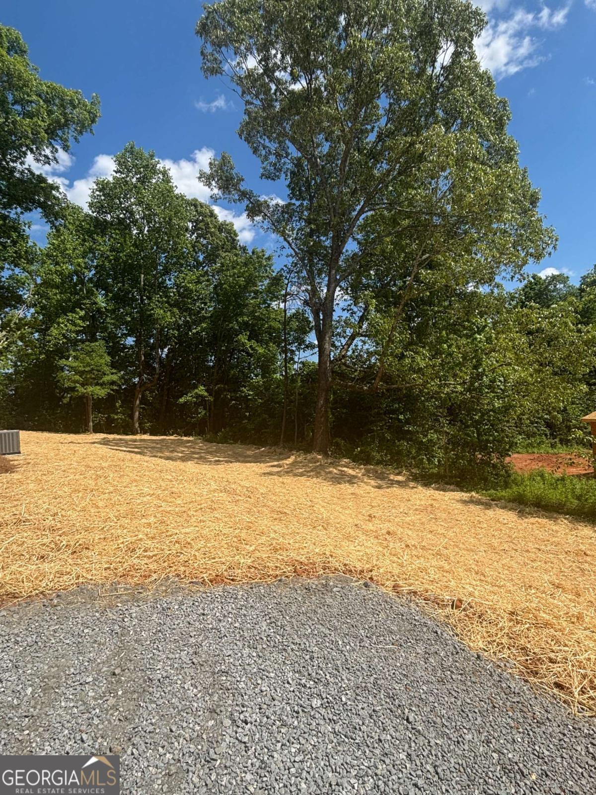 60 OLIVE BRANCH LN