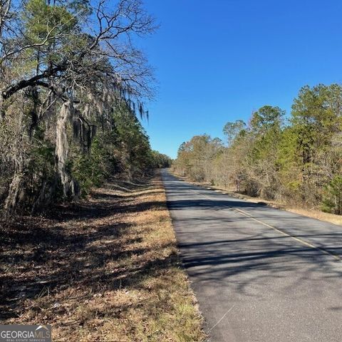 Photo of 0 Pineville Road #100+/- ACRES, Buena Vista, GA 31803 (MLS # 10625542)