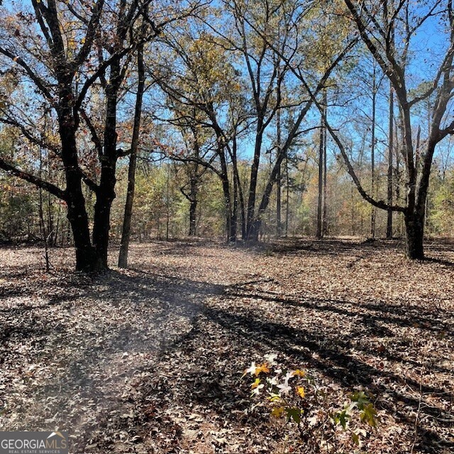 0 Pineville RD 100+/- ACRES