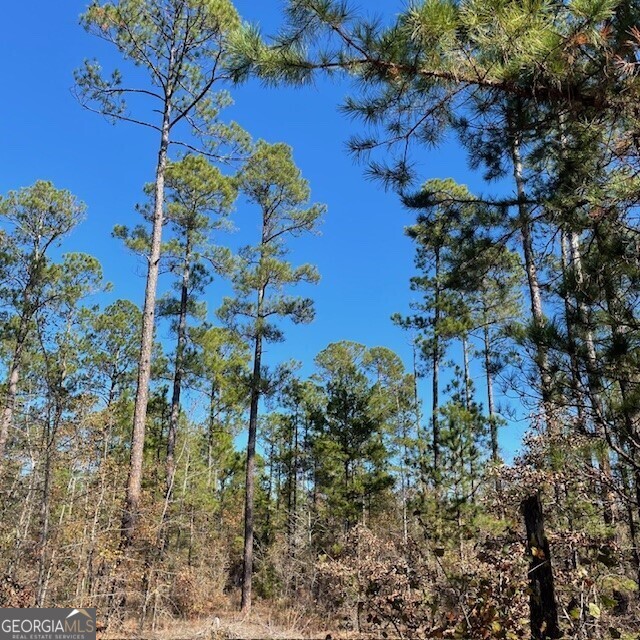 0 Pineville RD 100+/- ACRES