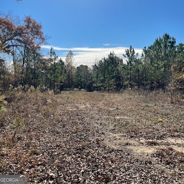 0 Pineville RD 100+/- ACRES