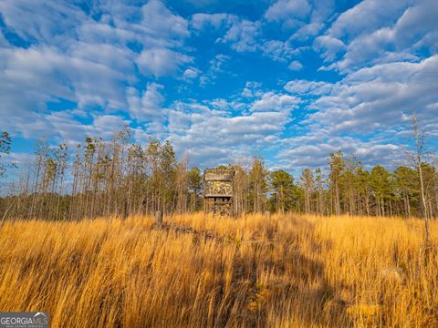 Photo of 1 Smith Rocky Branch Road, Carlton, GA 30627 (MLS # 10729182)