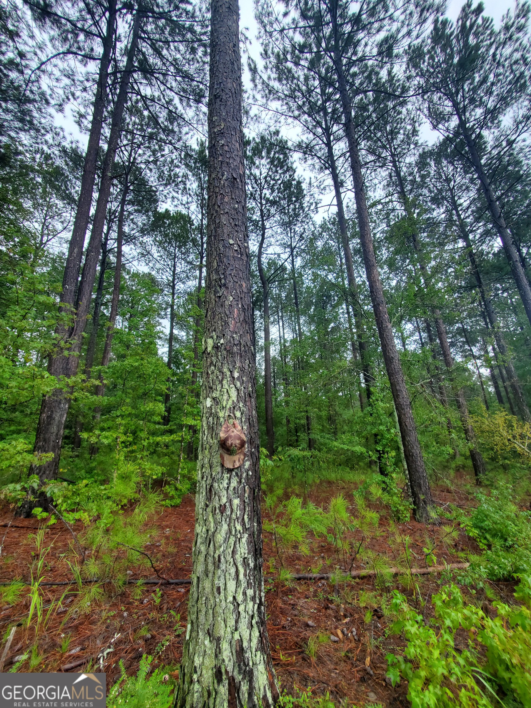1 Smith Rocky Branch RD