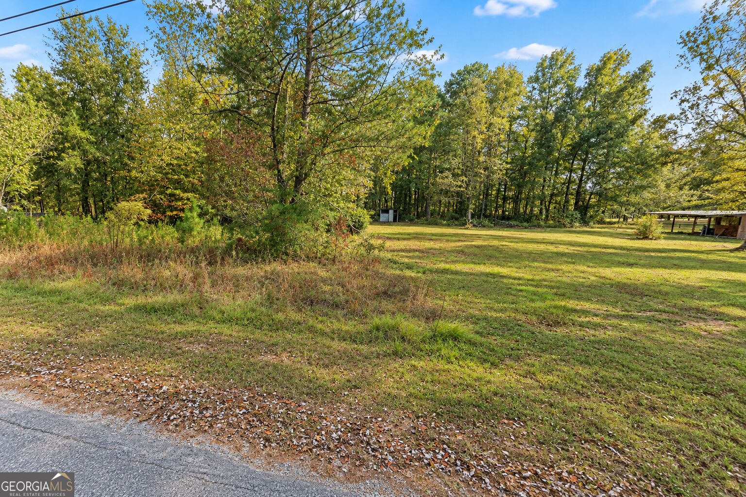 .46 ACRE Zerbee LN