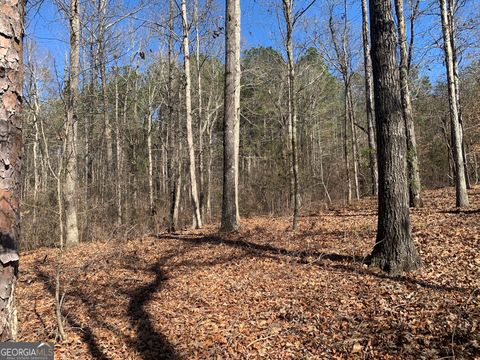 0 Veterans DR Danielsville GA 30633