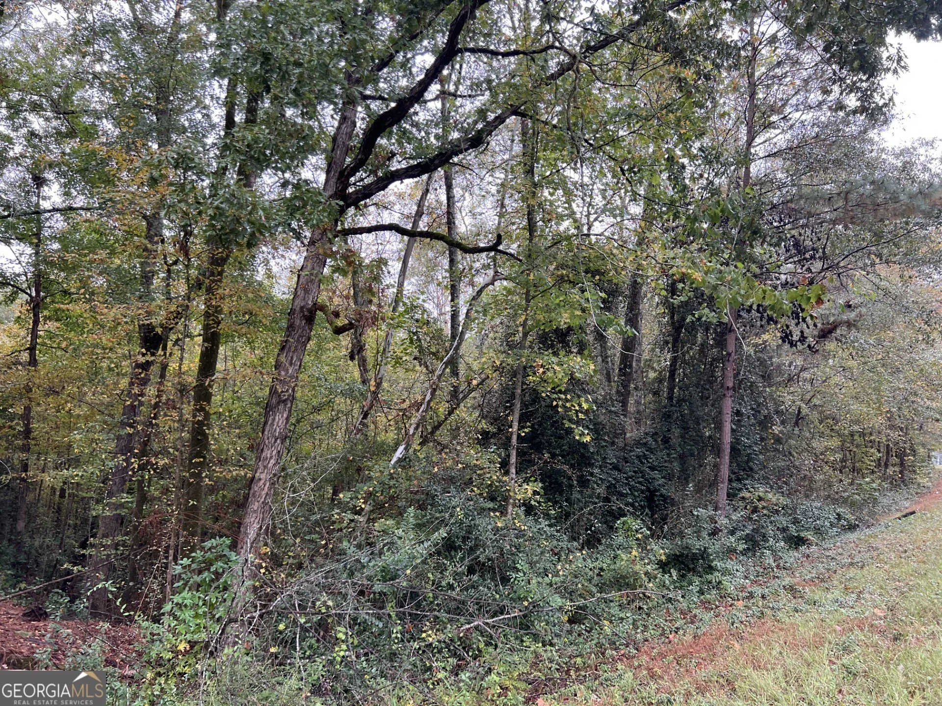 140 Lite N Tie Road