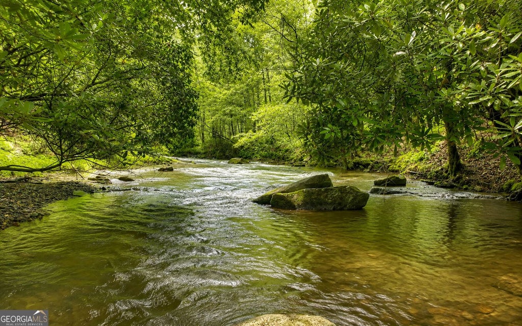 Photo of 3149 Big Creek Road, Cherry Log, GA 30522 (MLS # 10833443)