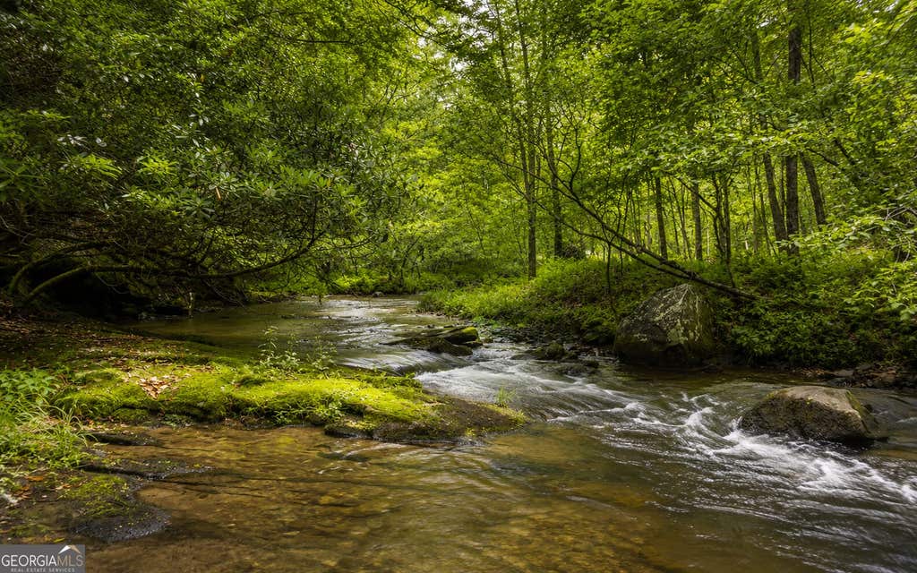 Photo of 3149 Big Creek Road, Cherry Log, GA 30522 (MLS # 10833443)