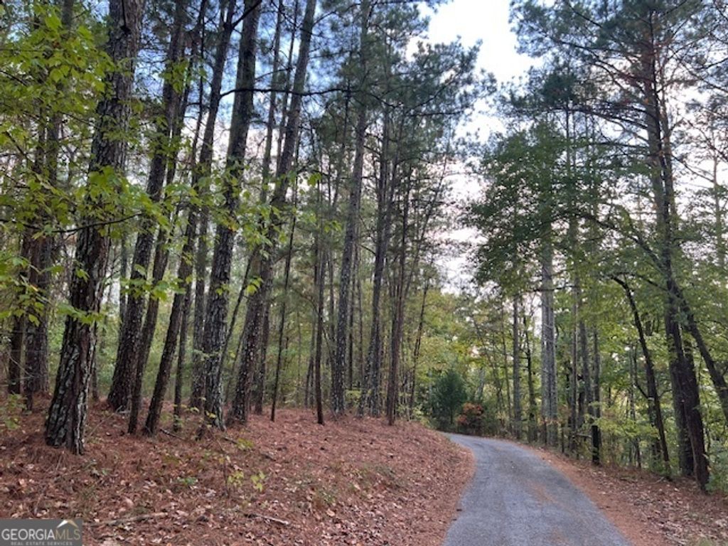 Photo of 100 Valley View Drive NW, Cartersville, GA 30121 (MLS # 10403734)