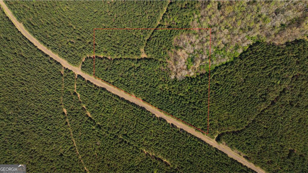 Photo of 435 Morgan Road, Yatesville, GA 31097 (MLS # 10736178)