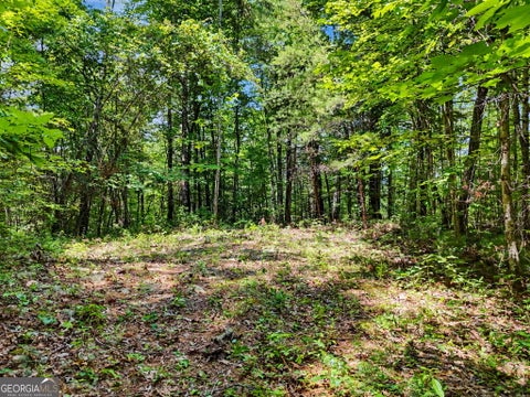 Photo for 0 Hidden Falls DR LOT 3