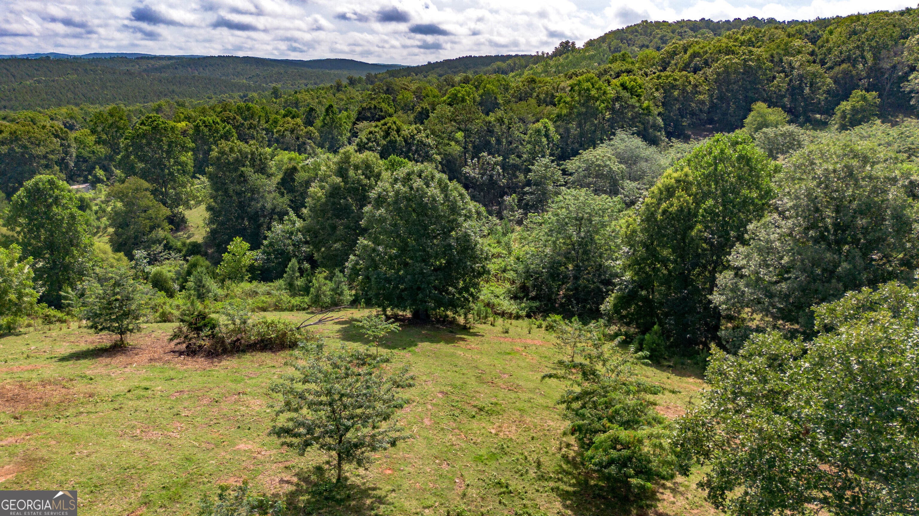 5967 County Road 19 LOT 2