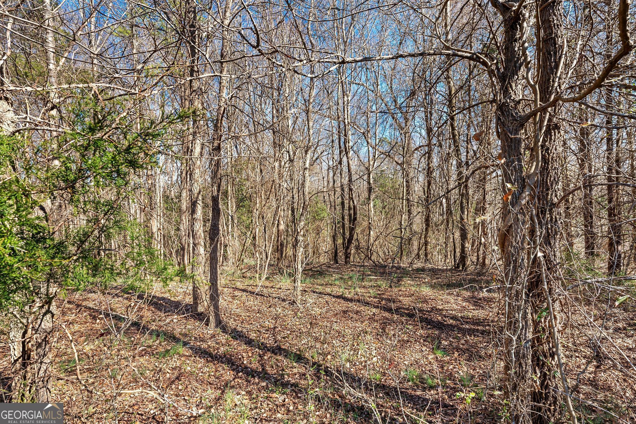261 Craft RD