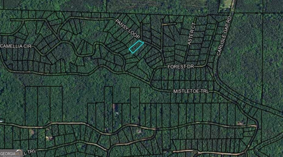 BLK 79 LOT 07 PANSY LOOP