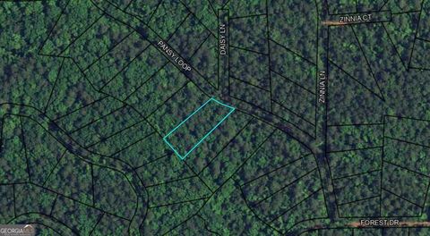BLK 79 LOT 07 PANSY LOOP Waverly Hall GA 31831