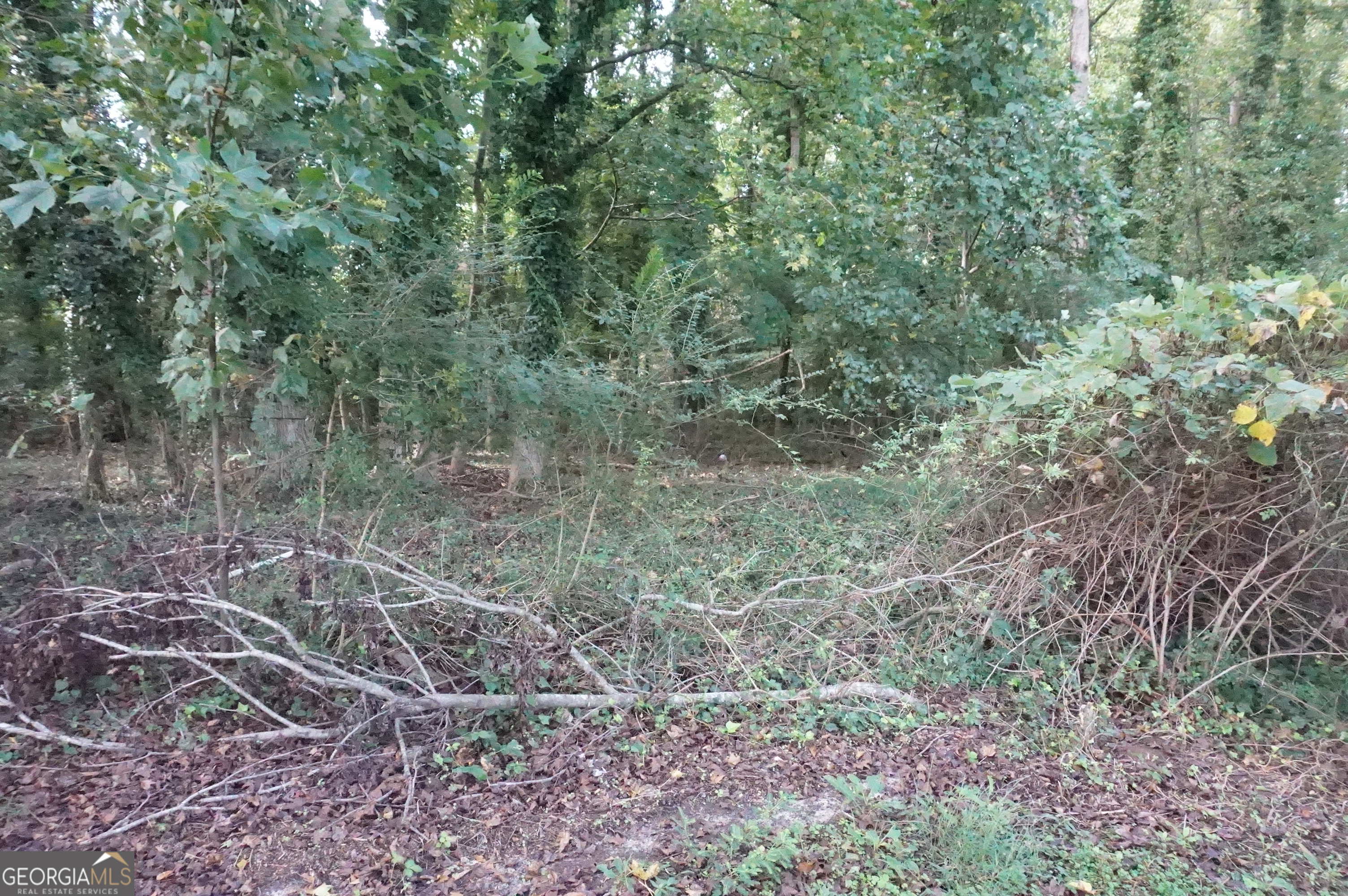 LOT 6 Pine Valley CIR