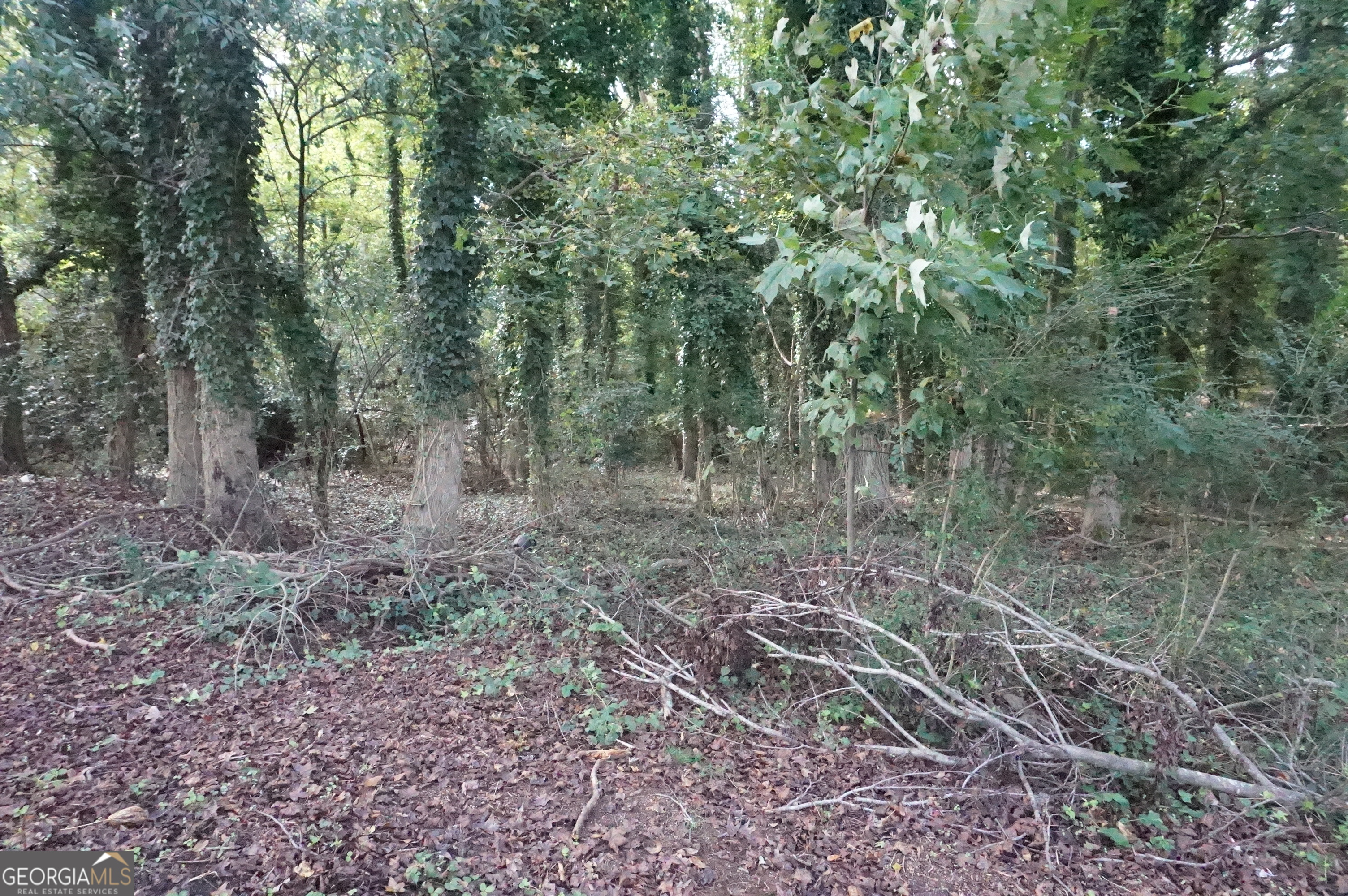 LOT 6 Pine Valley CIR