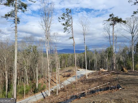 A home in Ellijay