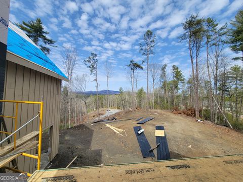 A home in Ellijay