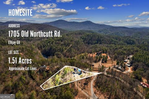 A home in Ellijay