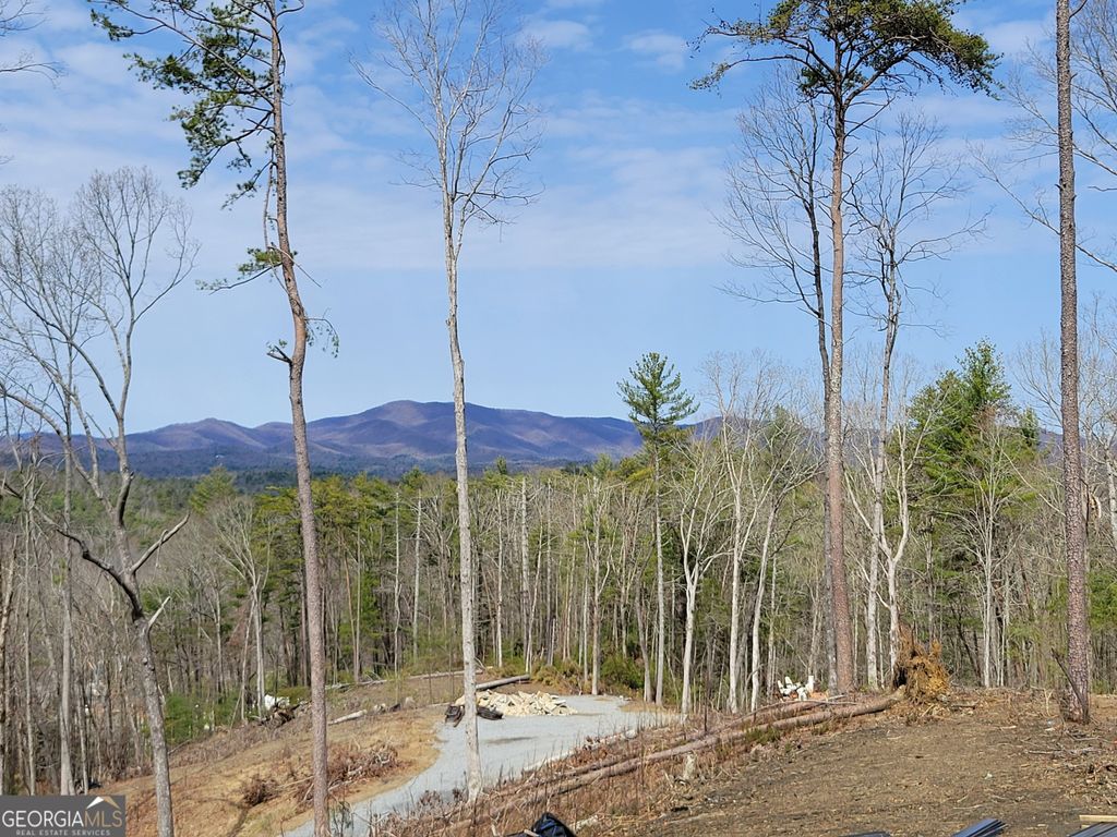 listing image 62