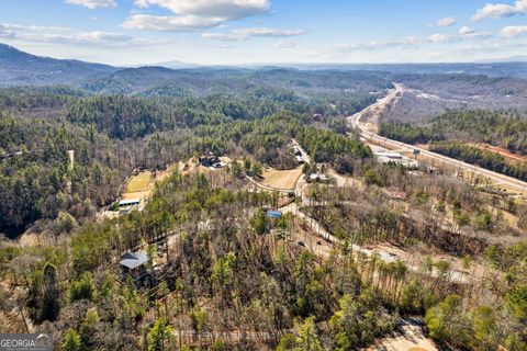 A home in Ellijay