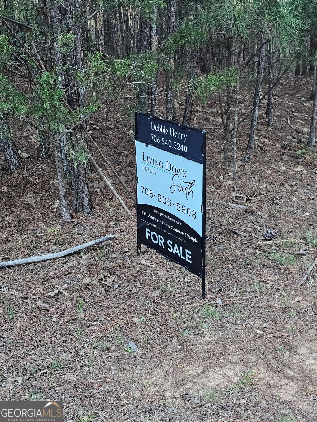 Photo of 32 Melody Ln., Hartwell, GA 30643 (MLS # 10720349)