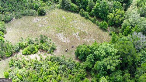 Photo of 0 County Road 231, Abbeville, AL 36310 (MLS # 10757216)