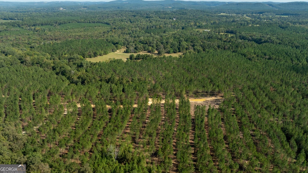 Photo of 13141 Livingston Rd SW, Rome, GA 30161 (MLS # 10850751)