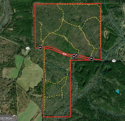 337+/- AC Hwy 137 Buena Vista GA 31803