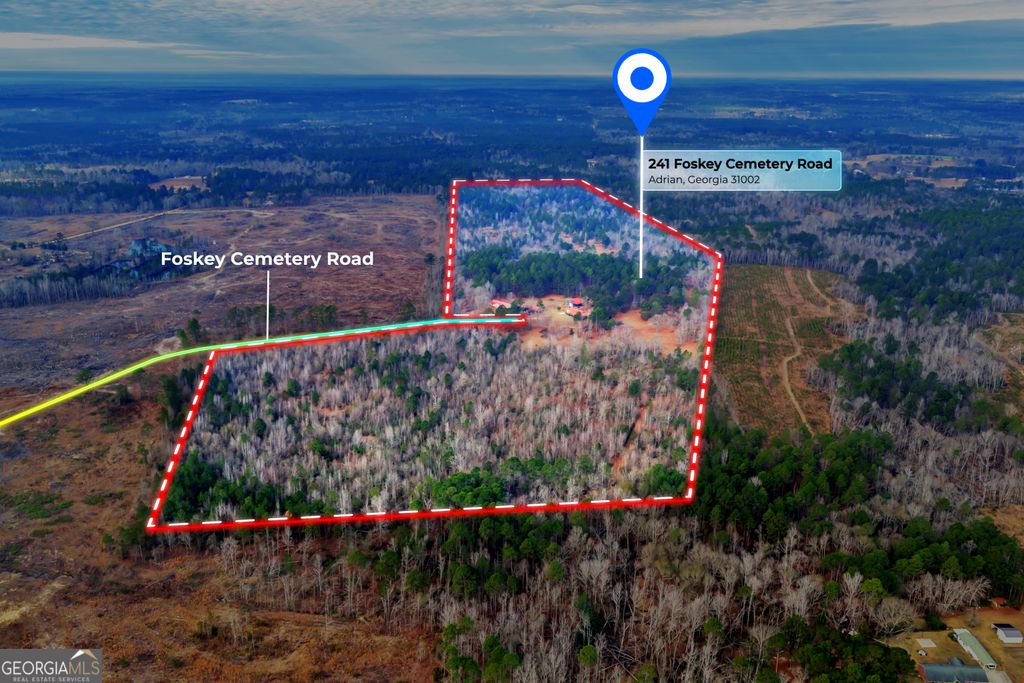 Photo of 241 Foskey Cemetary Road, Adrian, GA 31002 (MLS # 10754656)
