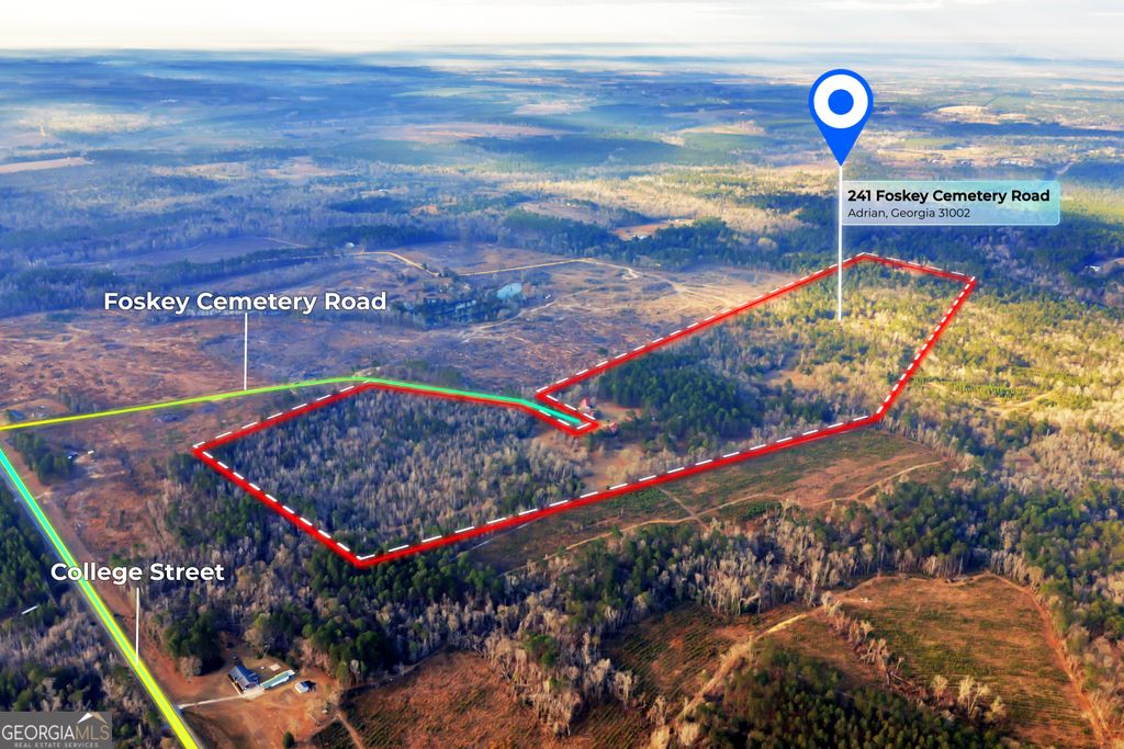 Photo of 241 Foskey Cemetary Road, Adrian, GA 31002 (MLS # 10754656)