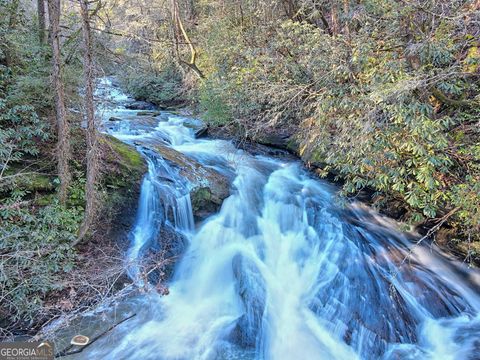 14 Big Shoals TRL Tiger GA 30576