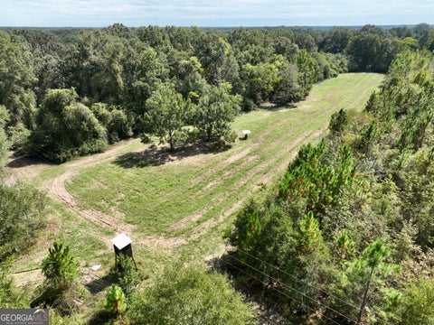 Photo of 0 Abbeville Highway, Pineview, GA 31071 (MLS # 10869115)