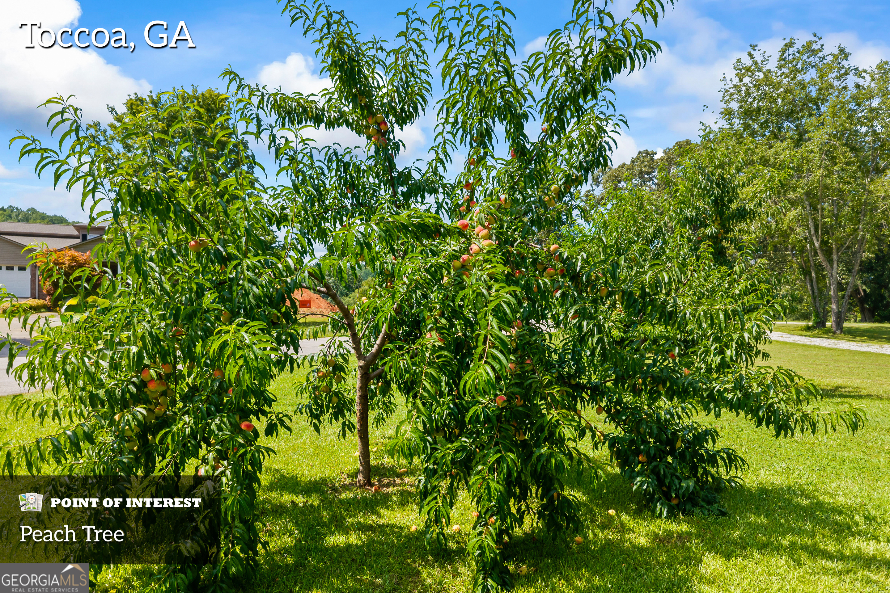 Toccoa, Georgia 30577, United States, 3 Bedrooms Bedrooms, ,3 BathroomsBathrooms,Residential,Active,174913