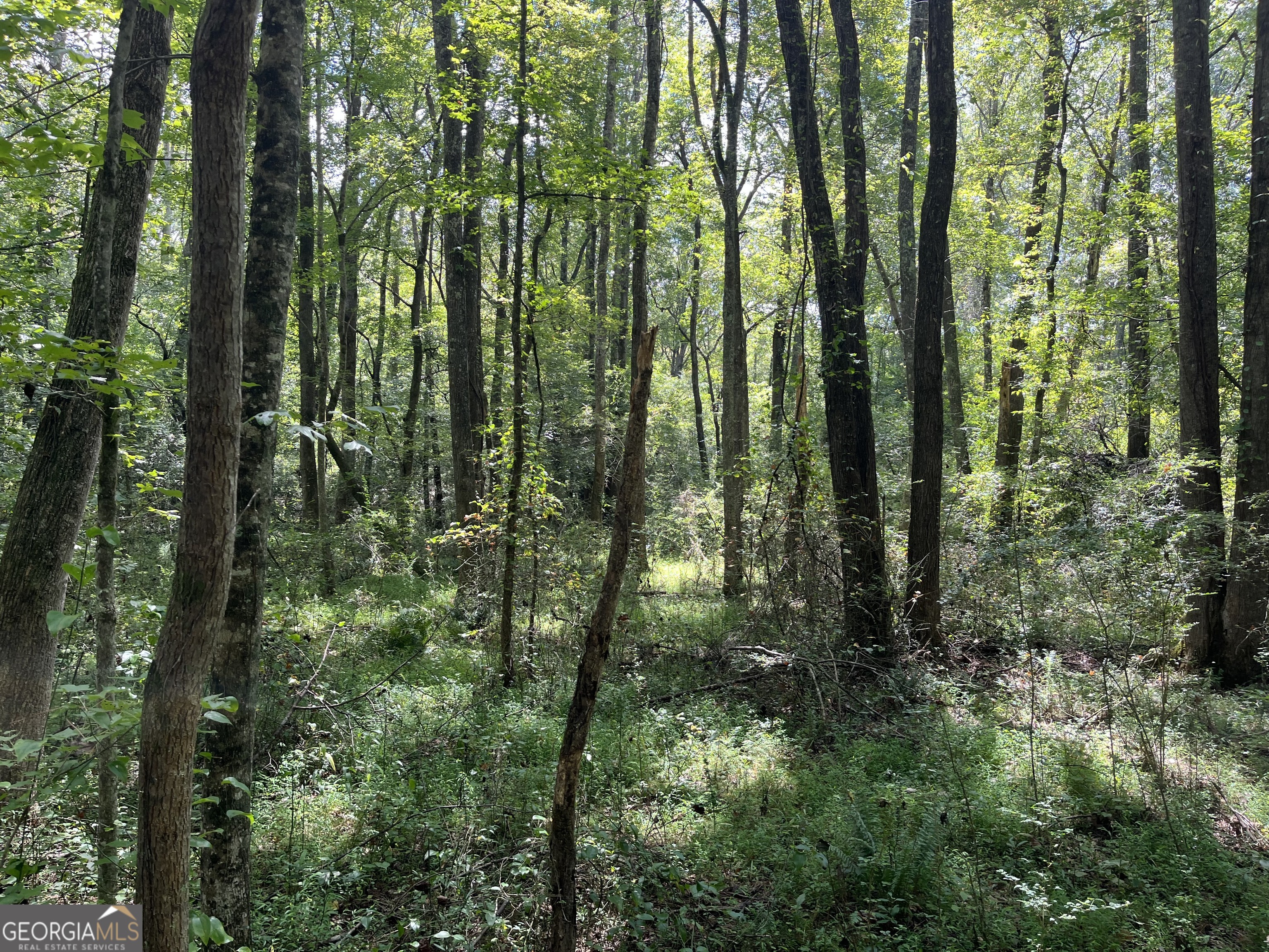 First time ever offered for sale. 8 private acres just a short distance from Haralson County High School. Wooded acreage that has a small stream that runs the length of the property. Right hand side of property has an old drive cut into the property that could be easily cleared again. County water at road and there is a power line run down the right hand side of property that will save money on power being run to a new house if built. Back right, back left and front left pins are marked with red flagging tape.