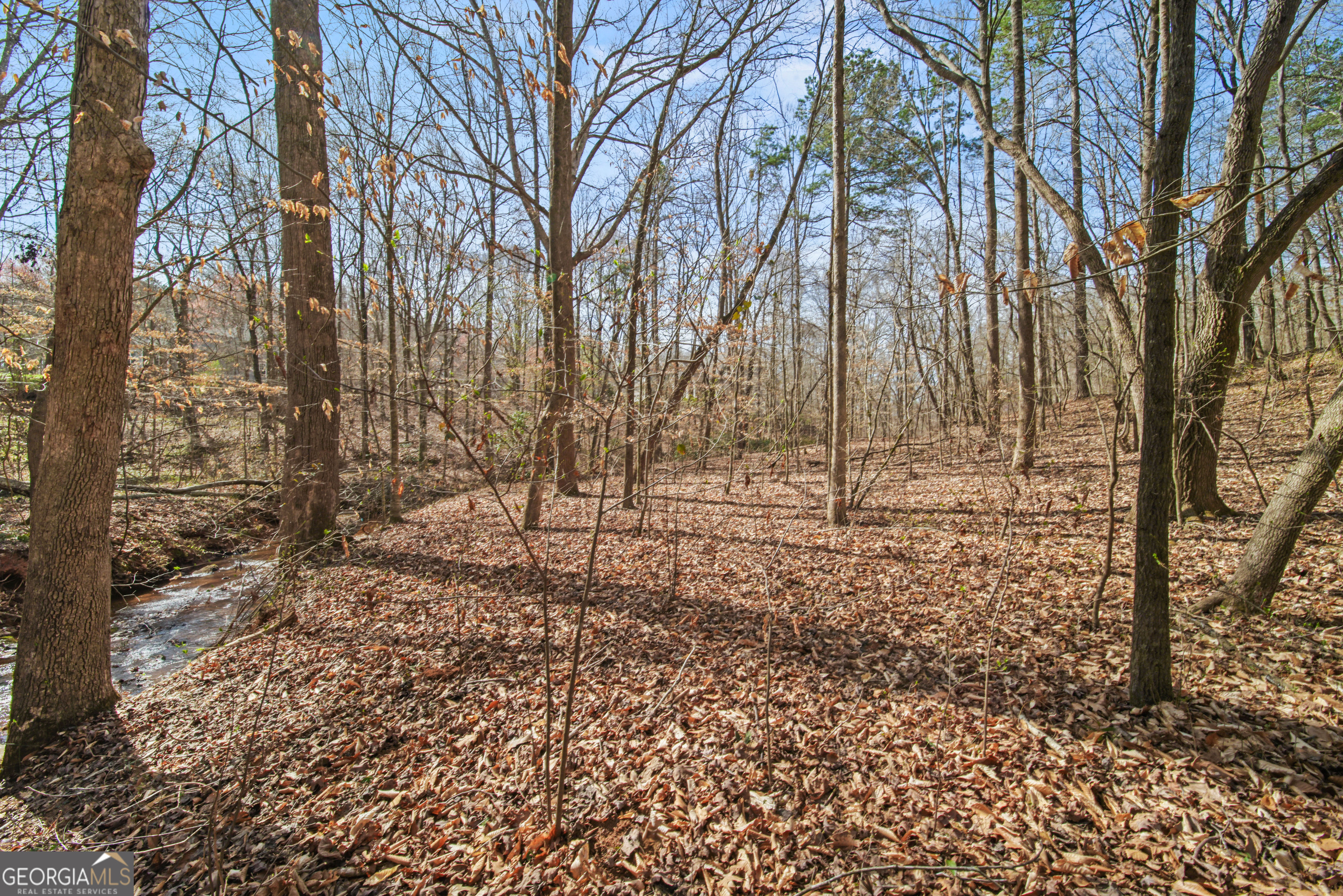 245 Kinney Creek Lane